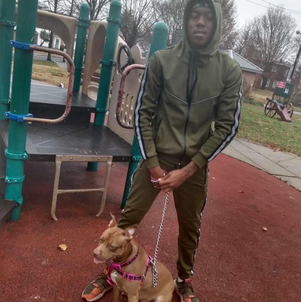 Olive Green Tracksuit - Picture 2 of 8